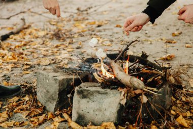 İnsanlar şenlik ateşi üzerinde şekerleme kızartmak. Kavram sonbahar piknik.