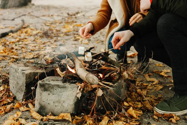 People roast marshmallows on  bonfire. Concept autumn picnic.