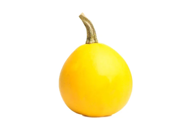 Una Calabaza Amarilla Madura Aislada Blanco — Foto de Stock