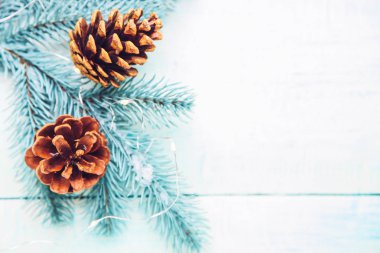 Koni ve ahşap arka plan üzerinde garland ile Noel ağacı fışkın. Kavram yeni yıl. Kopya alanı.