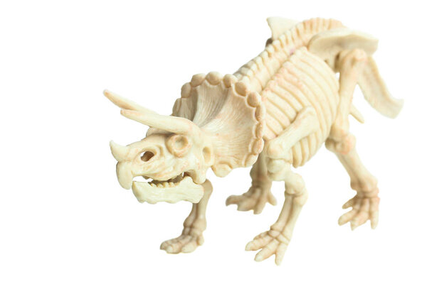 Скелет динозавра трицератопса изолирован на белом. Концепция: юрский, научная палеонтология. Вид сбоку
.