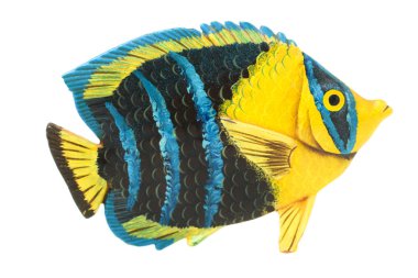 Güzel bir beyaz egzotik tropik balık izole. Kavram ekoloji. Üstten görünüm.