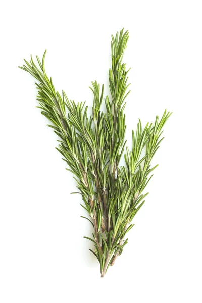 Fresh Green Rosemary Sprig Isolated White Concept Medicine — Stock Photo, Image