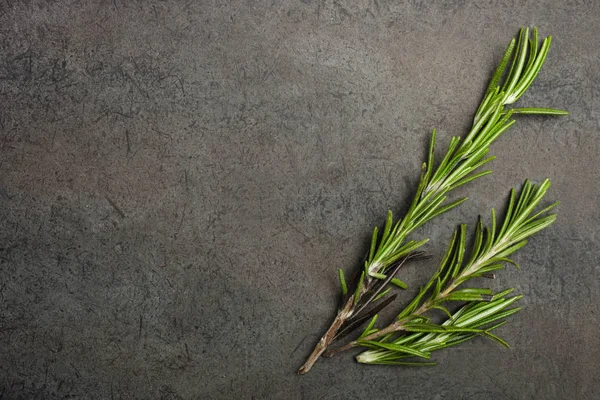 Fresh Green Sprig Rosemary Black Background Top View Copy Space — Stock Photo, Image