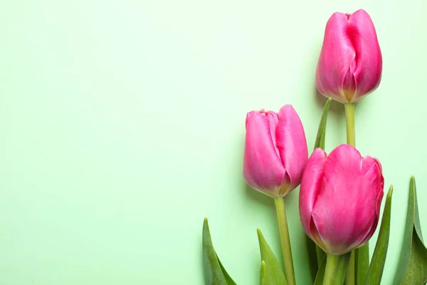 Gyönyörű Csokor Rózsaszín Tulipán Zöld Háttér Koncepció Nemzetközi Nőnapon Március — Stock Fotó