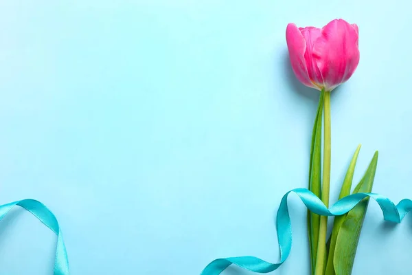 Egy Gyönyörű Rózsaszín Tulipán Szalaggal Világos Kék Háttér Koncepció Nemzetközi — Stock Fotó