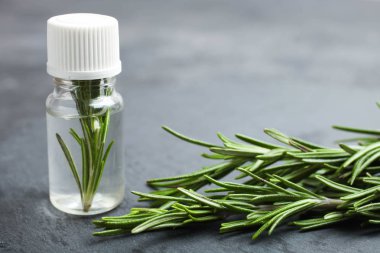 Taze yeşil biberiye dalı ve aroma yağı siyah arka plan üzerine kayrak gemide şişe. Kavram Aromaterapi, tıp. -Up, kopya alanı giydirin.