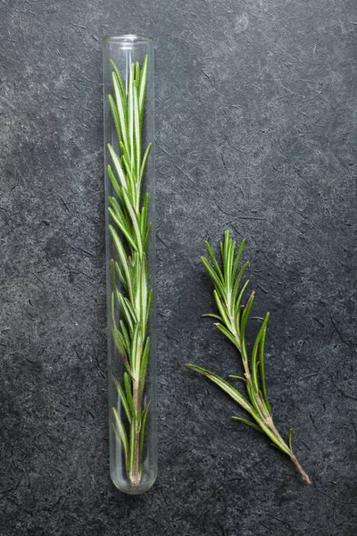 Fresh Green Sprig Rosemary Black Background Top View Concept Medicine — Stock Photo, Image