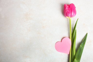 Bir güzel Pembe Lale ve Sevgililer kartı tarafsız arka plan üzerinde. Kavram Sevgililer günü, Dünya Kadınlar Günü. Üstten Görünüm, kopya alanı.