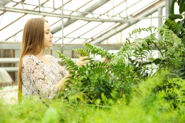 Güzel genç kız, işçi ile tablet yeşil tropikal bitki sera içinde yakınındaki. Sera, çiçek, kavram eser bulunmaktadır. Kopya alanı.