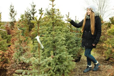 kız Noel ağacı çiftlikte seçer