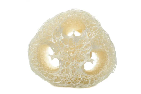 Uma esponja reutilizável orgânica natural luffa — Fotografia de Stock