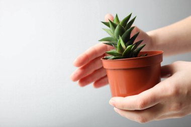 bitkiler, etli nakli. 