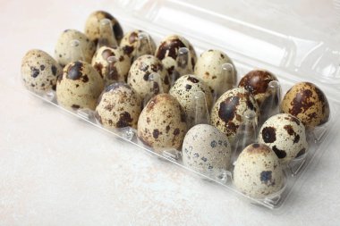  Plastik Ambalaj bıldırcın yumurtası