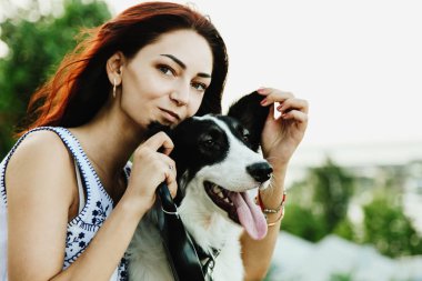 sınır collie köpek 