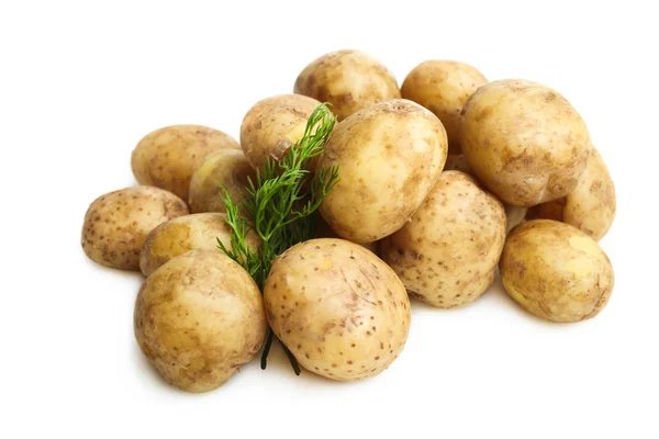 Patatas hervidas con eneldo —  Fotos de Stock