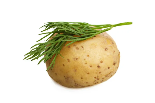 Kokt unga potatis med dill — Stockfoto
