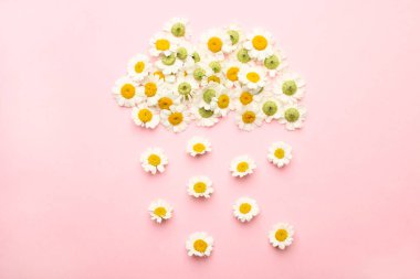 Küçük krizantem çiçekleri yağmuruna sahip bulut 