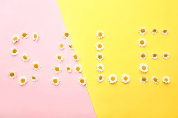 Inscrição "venda" de pequenas flores de crisântemos — Fotografia de Stock