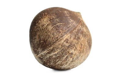 Tropikal egzotik hindistan cevizi 