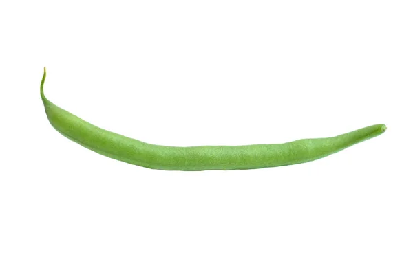 Jedna zelená fazole — Stock fotografie