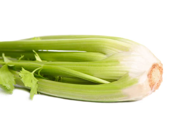 Zelený Organický Celer Izolovaný Bílém — Stock fotografie