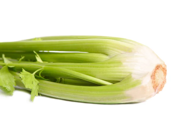 Céleri Naturel Bio Vert Isolé Sur Blanc — Photo