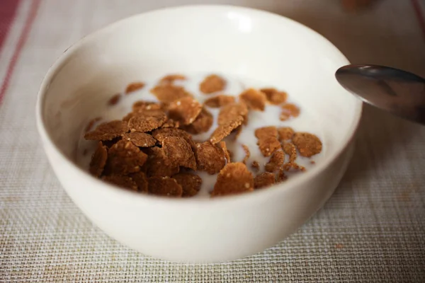 Chocolate cornflakes with milk — Stock Photo, Image