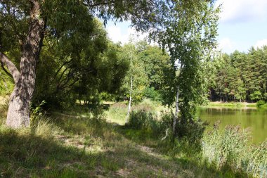  ağaçlar yakın göl 