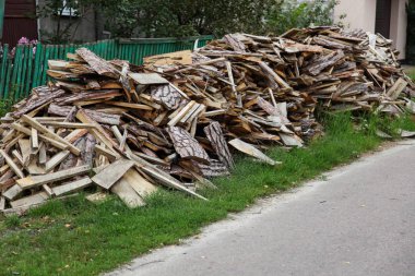 Çitin üstündeki hop dalları, arka plan. Kopyalama alanı.