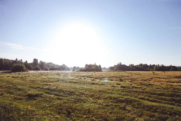 Rymligt fält och skog — Stockfoto