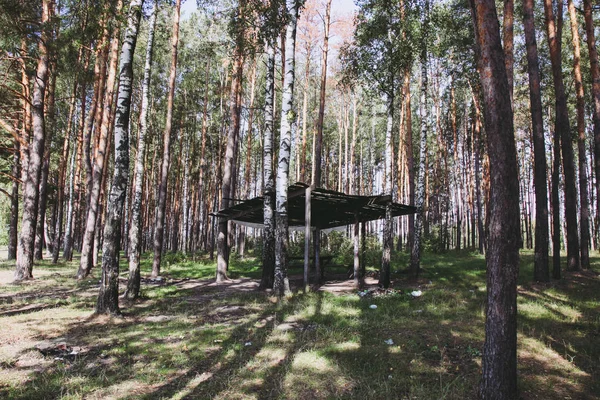Drewniana altana w sosnowym lesie. — Zdjęcie stockowe