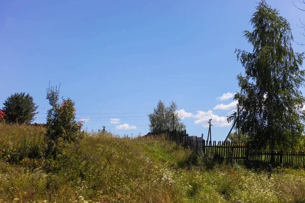 Сельская местность с деревьями и деревянным забором — стоковое фото
