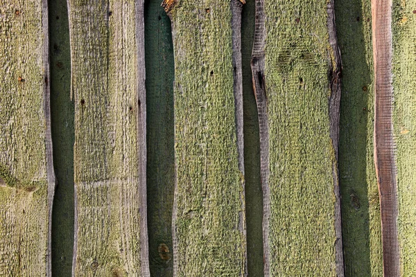 Struttura in legno naturale. — Foto Stock