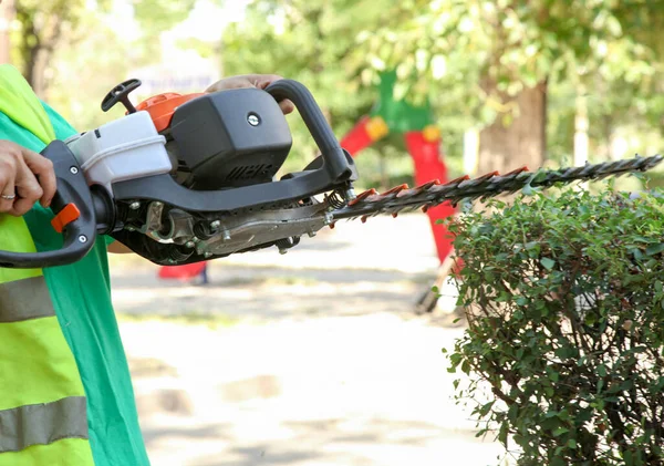 Ein Gärtner Schneidet Einen Strauch Mit Einem Freischneider Parkpflege — Stockfoto