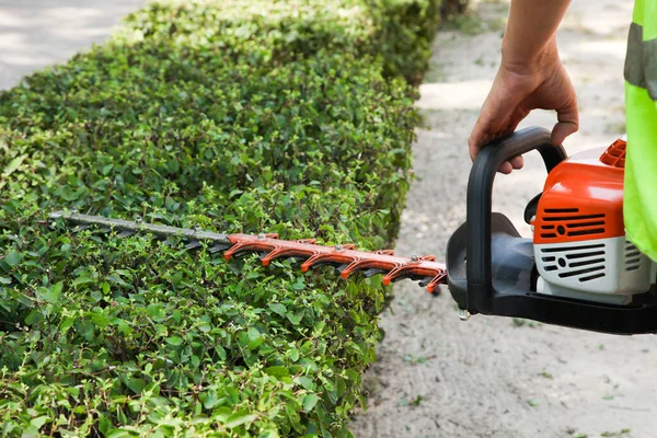 A gardener trims a bush with a brush cutter. Park maintenance