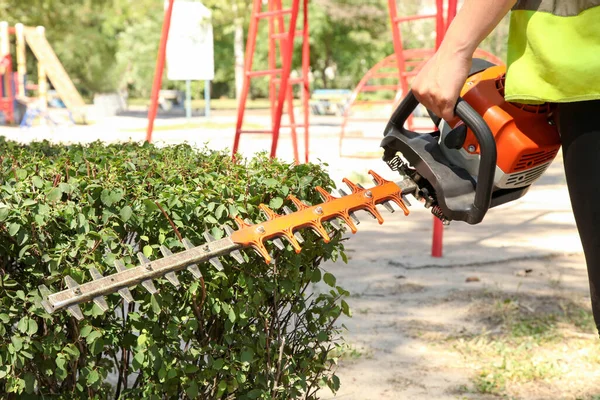 A gardener trims a bush with a brush cutter. Park maintenance