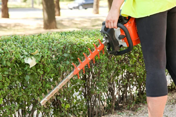 Ein Gärtner Schneidet Einen Strauch Mit Einem Freischneider Parkpflege — Stockfoto