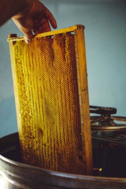 Arıcı bal peteğini bal sökücünün içine koyuyor. Görüntü.