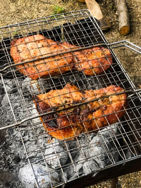 夏には屋外で焼き上げるおいしい肉 ピクニック — ストック写真