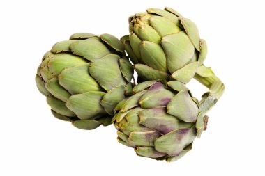 Beyaz arkaplanda taze enginar izole edildi.