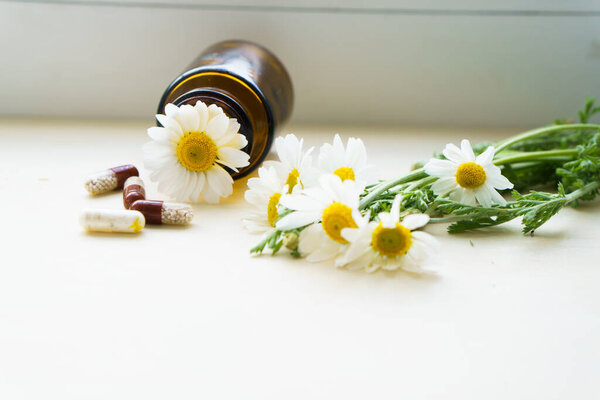 Medicine and health, treatment, pharmaceutics, coronavirus, pandemic, epidemic concept - opposition natural herbal remedies against pills. Scattered colored pills and chamomilecopy space.