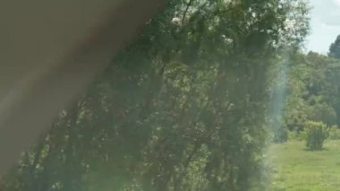 Ulaşım, seyahat, yol, demiryolu, manzara, çiftleşme konsepti - aydınlık bir günde doğanın ve ormanın güzel çayırlarının manzarasında hız treninin camındaki parıltı