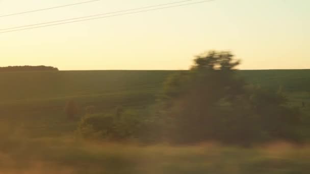 Közlekedés, utazás, út, vasút, táj, kompozíciós koncepció - kilátás a gyorsvonat ablakából, üvegen vakító tájjal a gyönyörű természet rétek és erdők naplemente előtt nyáron — Stock videók