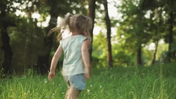 Küçük kız ormanda koşup oynuyor. Mutlu gülümseyen çocuk gün batımında parktaki yeşil ağaçların arkasına saklanır. Yaz, eğlence, aile, çocukluk, yürüyüş, tatil, yaşam tarzı kavramları. — Stok video