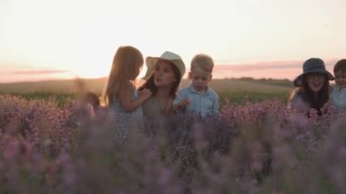 Geniş aile, babalık, çocukluk, annelik, provence tarzı konsept - kapak vuruşu iki genç anne, yaz akşamları gün batımından önce lavanta tarlasında kızlarıyla oğullarıyla çiçek topluyor