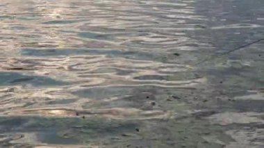 avcılık, balıkçılık, yemek, yaz tatili, hobi konsepti - balıkçı oltası ve balıkçı oltası, günbatımında küçük dalgalarla su yüzeyinde bitkilerle suyun arka planına karşı. Balıkçı balık yakalar.