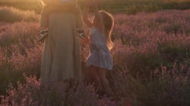 Geniş aile, babalık, çocukluk, annelik, provence tarzı konsept - küçük oğlu ve kızı olan mutlu genç bir kadın yaz akşamından önce lavanta tarlasında annesinin kollarını istiyor.