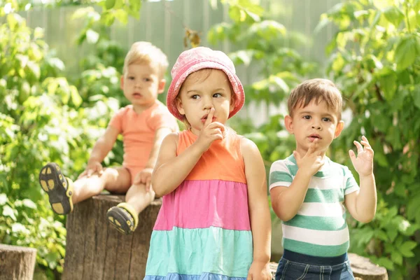 Drie kinderen van dezelfde leeftijd vertonen verschillende emoties. Kinderen in de tuin spelen in de zomer buiten. Een zuster en broers tonen een gebaar van stilte, met een vinger naar hun lippen — Stockfoto