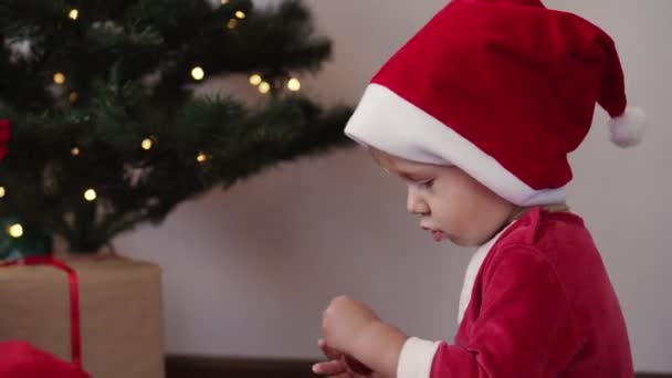 Natal, inverno, ano novo, Celebração, família, Conceito de infância - menino engraçado feliz em chapéu de Santa e roupas de Natal jogar e sorrir com bola vermelha decorar árvore de Natal em férias. — Vídeo de Stock